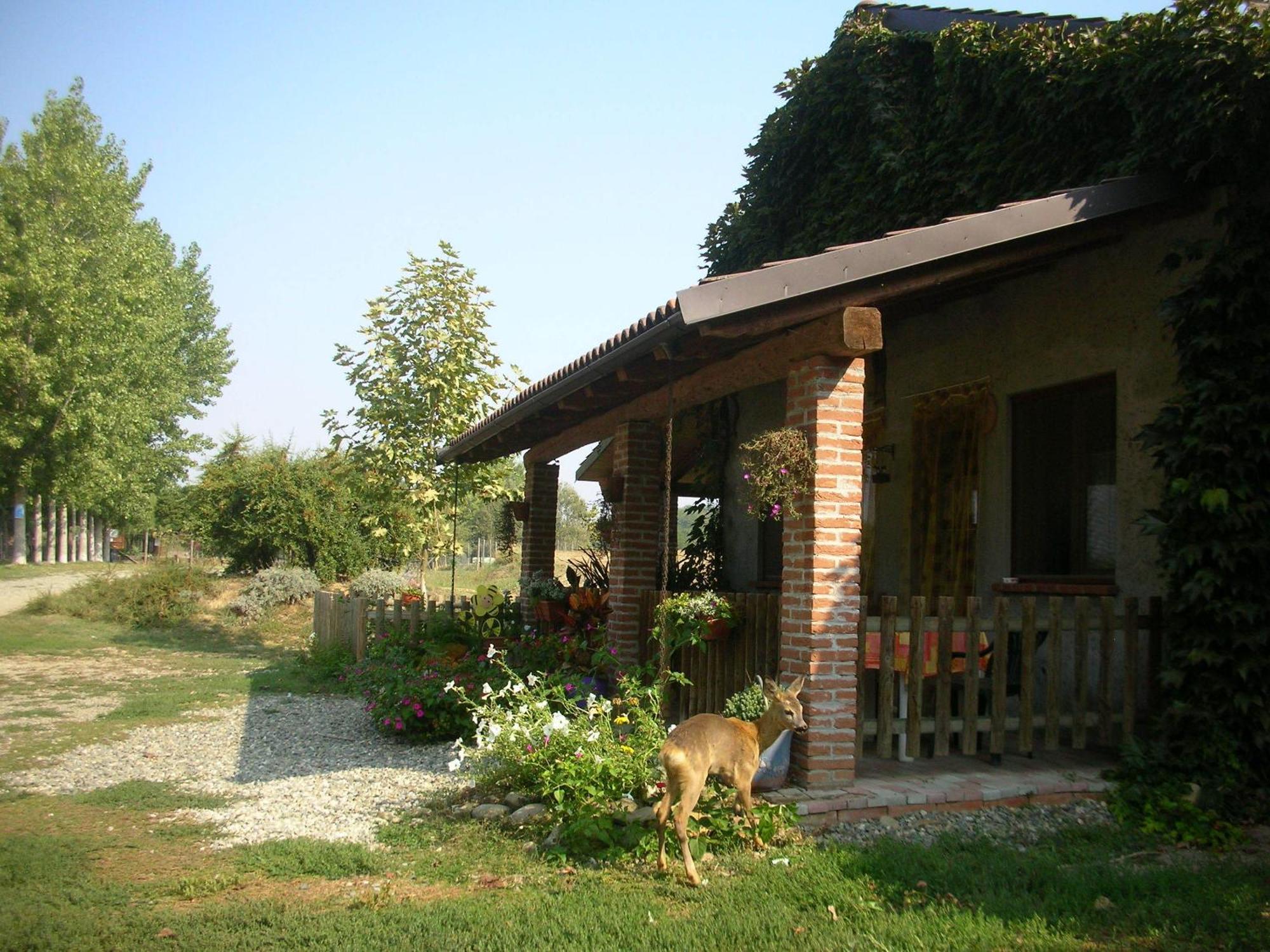 Cascina Beneficio Villa Castelnuovo Bormida Bagian luar foto