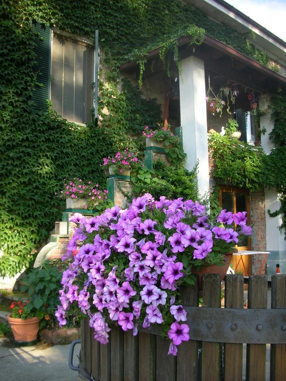 Cascina Beneficio Villa Castelnuovo Bormida Bagian luar foto